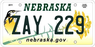 NE license plate ZAY229