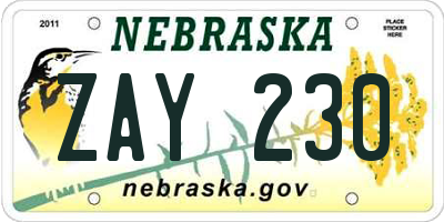 NE license plate ZAY230