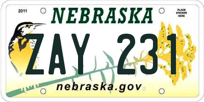 NE license plate ZAY231