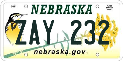NE license plate ZAY232