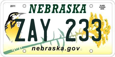 NE license plate ZAY233