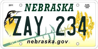 NE license plate ZAY234