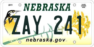 NE license plate ZAY241