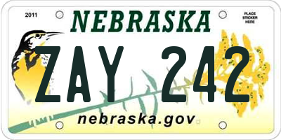 NE license plate ZAY242