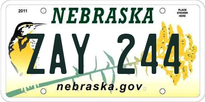 NE license plate ZAY244