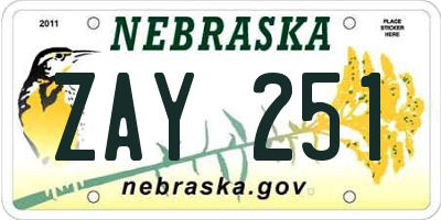 NE license plate ZAY251