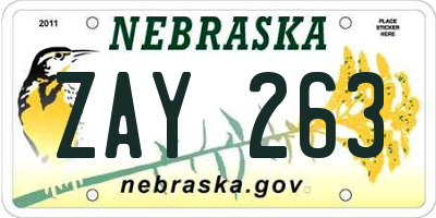 NE license plate ZAY263
