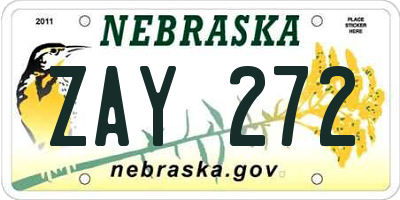 NE license plate ZAY272