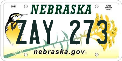 NE license plate ZAY273