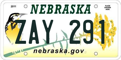 NE license plate ZAY291