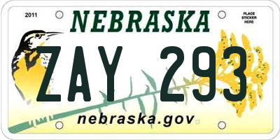 NE license plate ZAY293