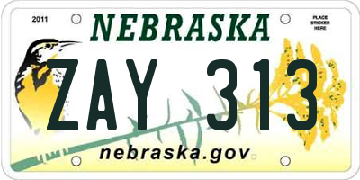 NE license plate ZAY313