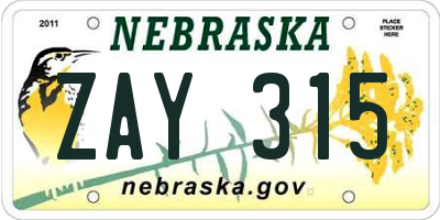 NE license plate ZAY315