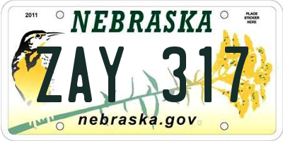 NE license plate ZAY317