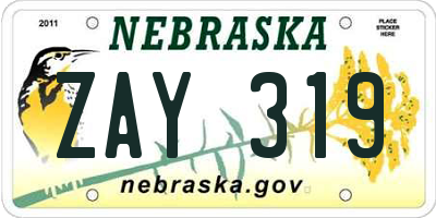 NE license plate ZAY319