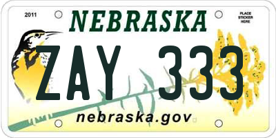 NE license plate ZAY333