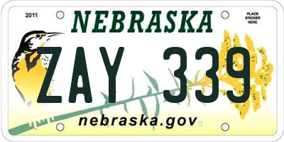 NE license plate ZAY339