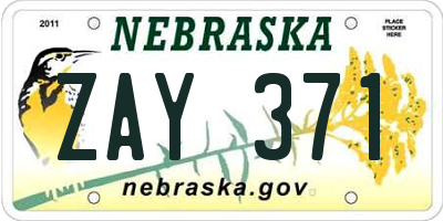 NE license plate ZAY371