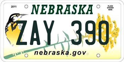 NE license plate ZAY390