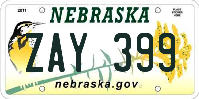 NE license plate ZAY399