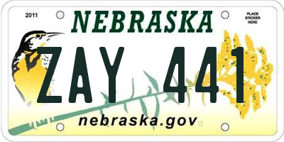 NE license plate ZAY441