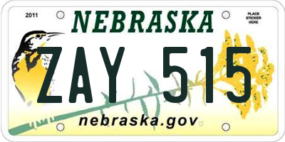 NE license plate ZAY515