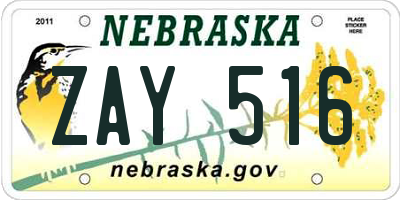 NE license plate ZAY516