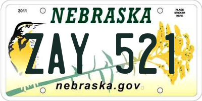 NE license plate ZAY521