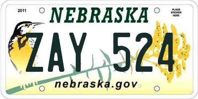 NE license plate ZAY524