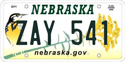 NE license plate ZAY541