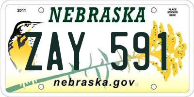 NE license plate ZAY591