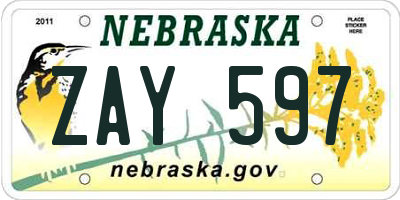 NE license plate ZAY597