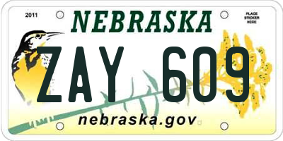 NE license plate ZAY609
