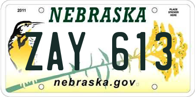 NE license plate ZAY613