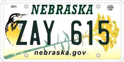NE license plate ZAY615