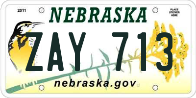 NE license plate ZAY713