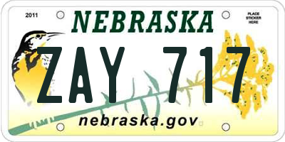 NE license plate ZAY717