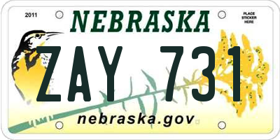 NE license plate ZAY731