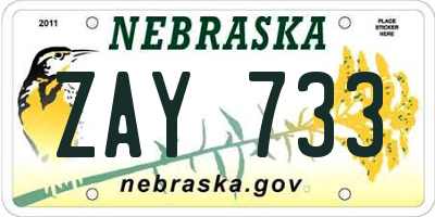 NE license plate ZAY733