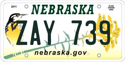 NE license plate ZAY739