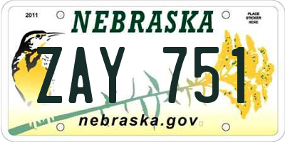 NE license plate ZAY751