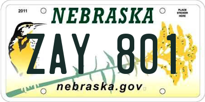 NE license plate ZAY801