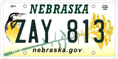NE license plate ZAY813