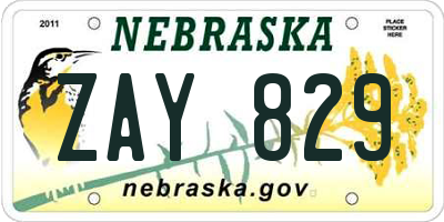 NE license plate ZAY829
