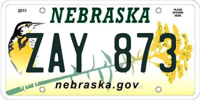 NE license plate ZAY873