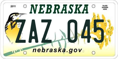 NE license plate ZAZ045