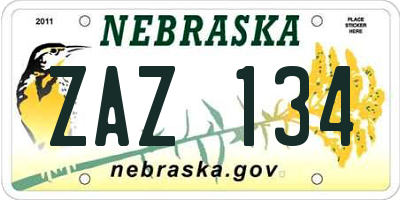 NE license plate ZAZ134