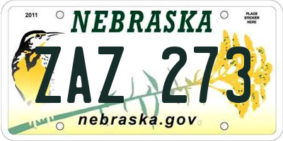 NE license plate ZAZ273
