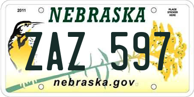 NE license plate ZAZ597