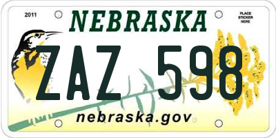 NE license plate ZAZ598